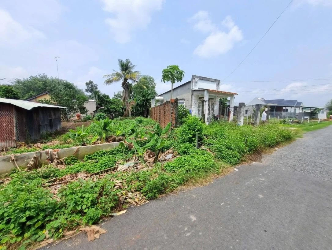 Bán đất 6m ngang 148m² gần KCN Phước Đông, Tây Ninh 460 triệu - Ảnh thu nhỏ 5