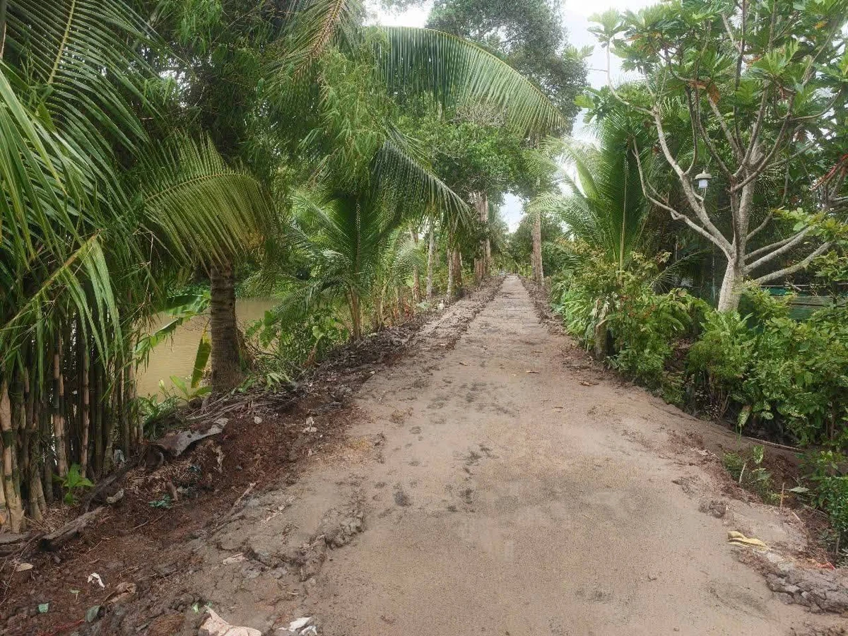 Bán 20 công đất nông nghiệp Xã Hòa Mỹ, Cần Thơ - Ảnh thu nhỏ 2