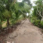 Bán 20 công đất nông nghiệp Xã Hòa Mỹ, Cần Thơ - Ảnh thu nhỏ 2