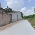 Bán đất 100m² gần full thổ cư Tiên Kiên, Phú Thọ 390 triệu - Ảnh thu nhỏ 4