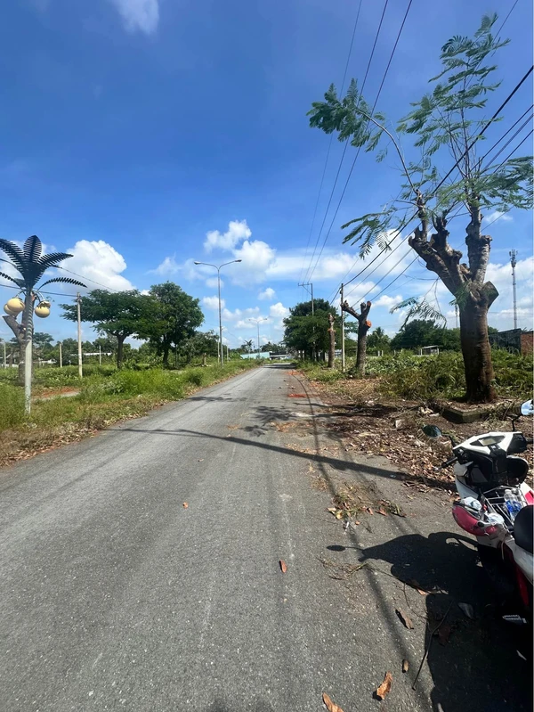 Bán đất thổ 10m² Phường Long An, Tân An