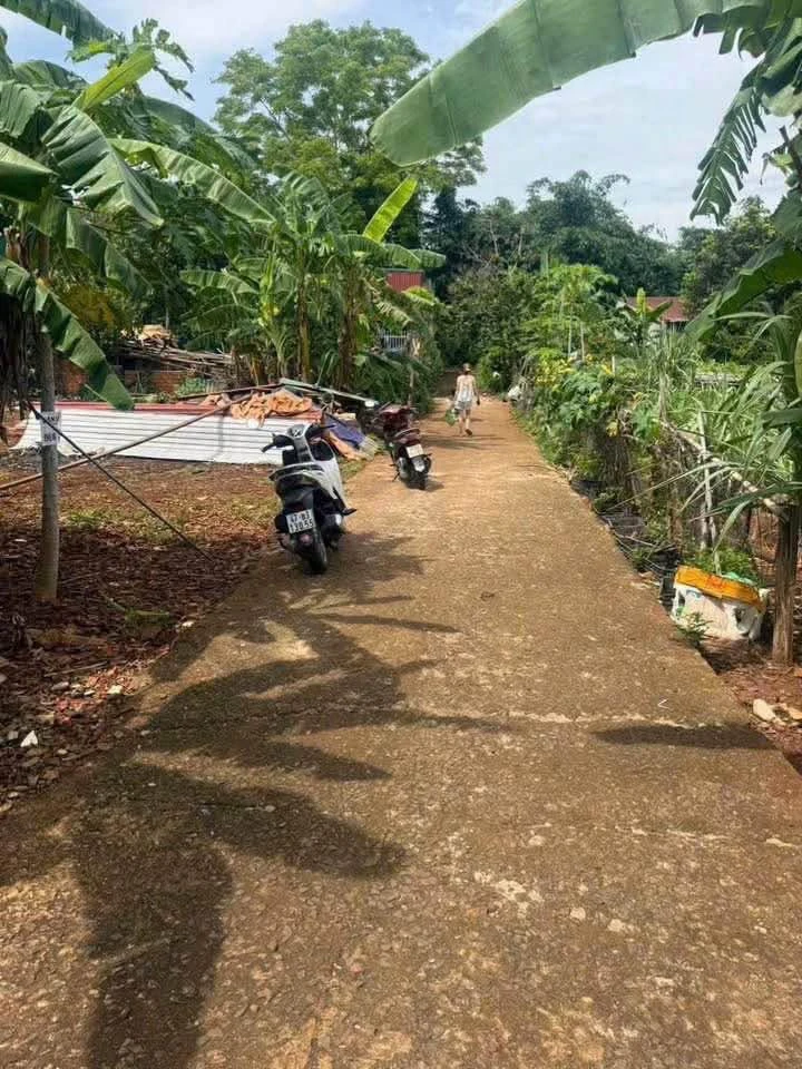 Bán lô đất 115m² hẻm Nguyễn Thị Định, Quận 11, 1 tỷ 190 triệu - Ảnh thu nhỏ 4