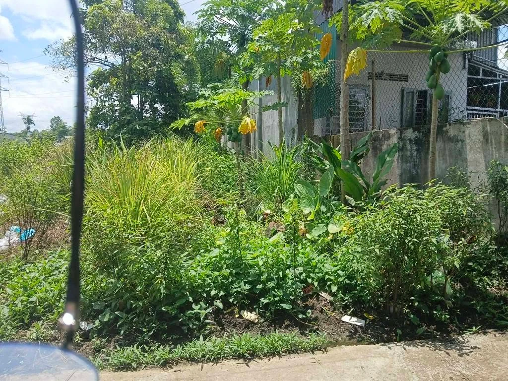 Bán đất hẻm Tạ Quang Bửu 5x20m Quận 12 - Ảnh thu nhỏ 2
