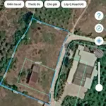 Bán gấp đất CLN 1.160m² mặt tiền Phan Thiết - Ảnh thu nhỏ 2