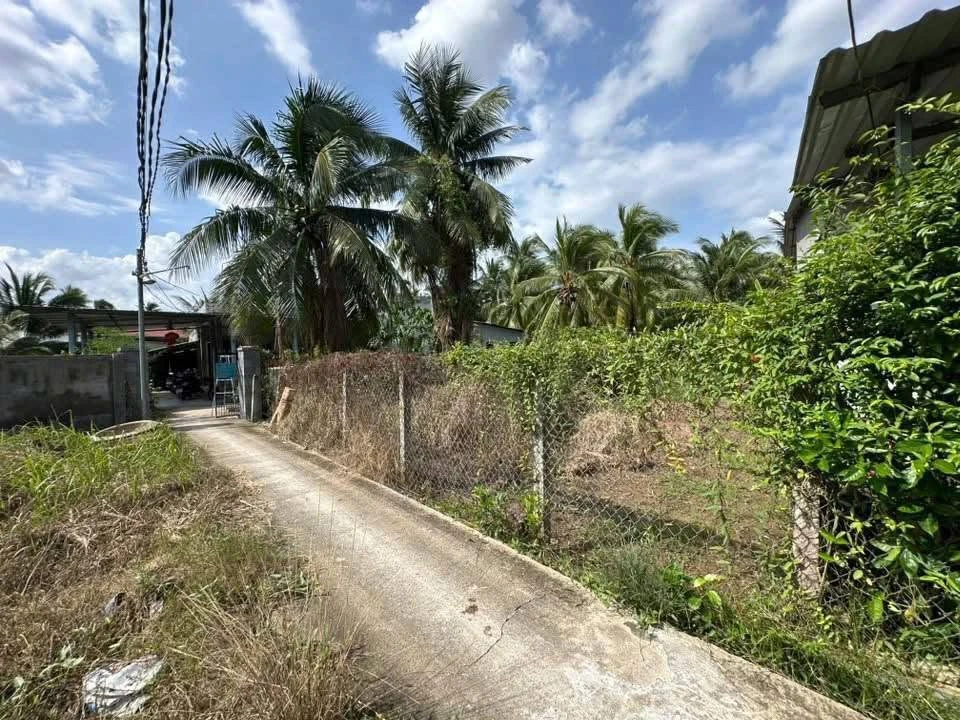 Bán đất công Mỹ Thạnh An 1226m2, giá 1 tỷ 150 triệu - Ảnh thu nhỏ 2