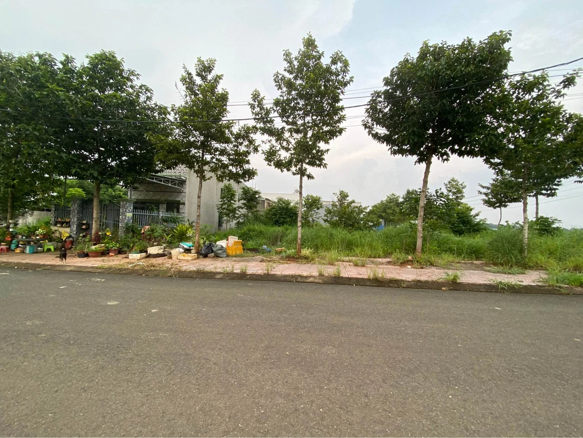 Bán đất Đường D1 Tân Phú Bình Phước 97,5 m² 650 triệu - Ảnh thu nhỏ 2