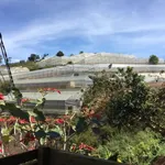 Bán đất 8000m² nhà kính Phường 7, Nhà Bè 8 tỷ - Ảnh thu nhỏ 5