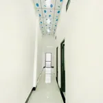 Nhà mới 2PN 84m² Tây Ninh 780 triệu - Ảnh thu nhỏ 4