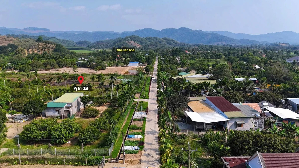 Bán đất Đạ Tẻh Lâm Đồng 300m2 giá 289 triệu - Ảnh thu nhỏ 4