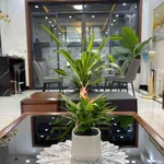 Bán nhà Vinhomes Imperia 96m² 3PN 16,5 tỷ Thủ Đức - Ảnh thu nhỏ 5