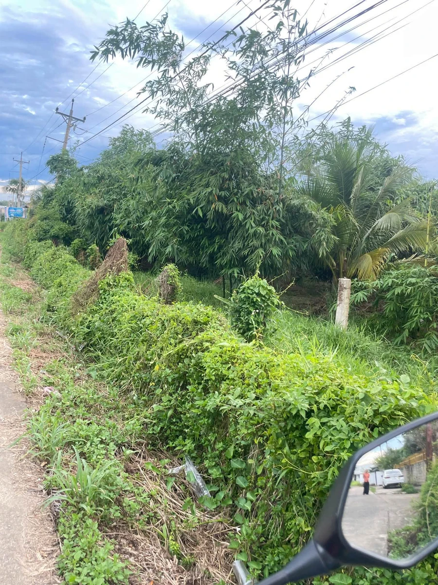 Bán đất 600m2 thổ cư Xã Tuyên Quang Phan Thiết - Ảnh thu nhỏ 2