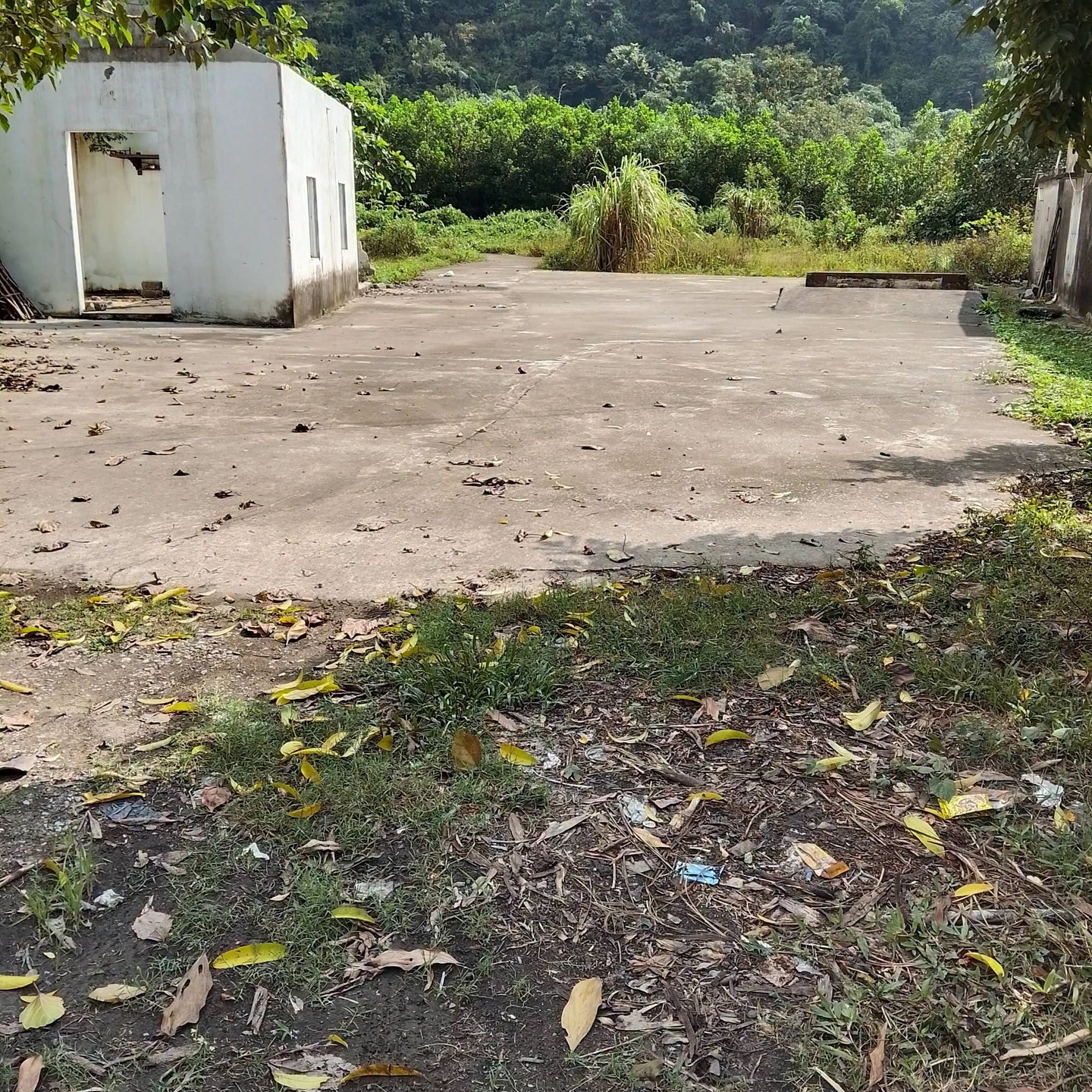 Bán đất 3100m2 tại Phường An Bình, Bình Tân - Ảnh 1