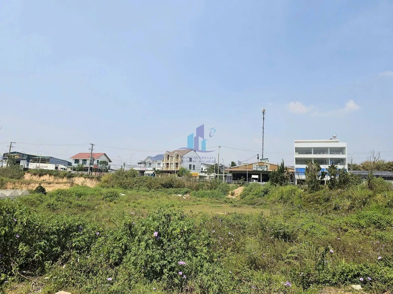 Bán đất Đà Lạt 3.087m² Phường Lang Biang 37 tỷ