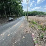 Bán đất nền 216.6m² KCN Mỹ Phước 2, 1 tỷ - Ảnh thu nhỏ 4