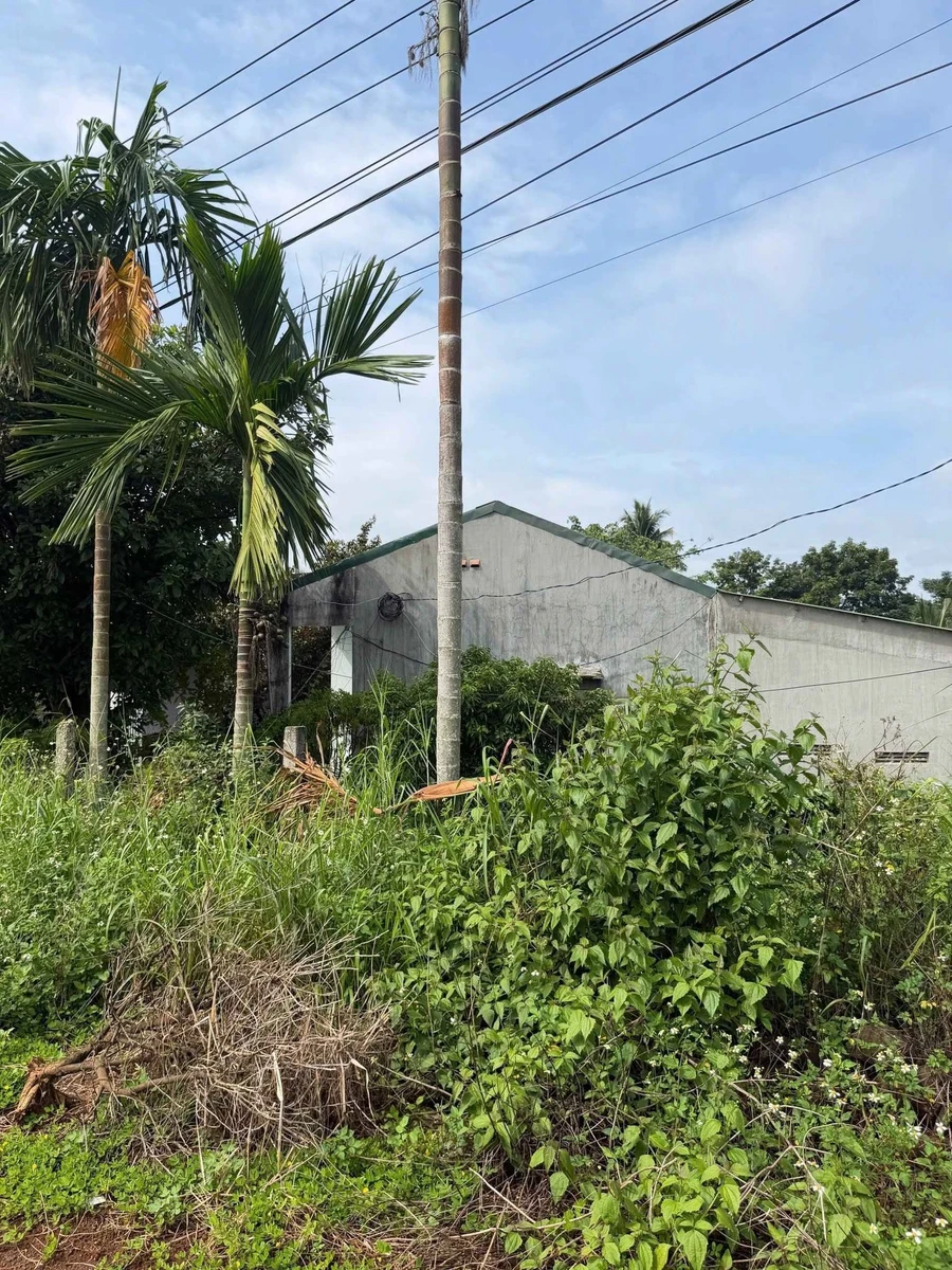 Bán lô nhà vườn 884m² view ao suối Phường Eakao, giá 2,1 tỷ - Ảnh thu nhỏ 2
