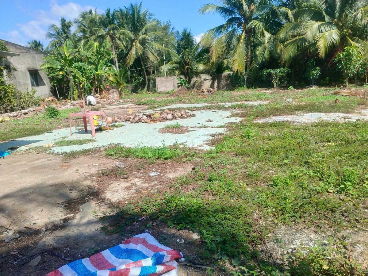 Bán đất MT Thành Sang 445m2, KCN Giao Long 1,25 tỷ - Ảnh thu nhỏ 2