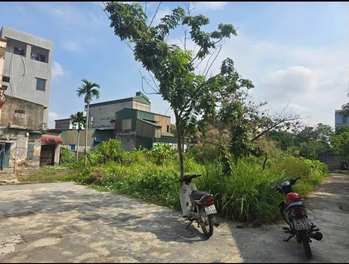 Bán đất 47-50m² tại Hải Dương, giá 600 triệu - Ảnh thu nhỏ 2