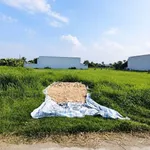 Bán đất thổ cư 130m² Tây Ninh 550 triệu - Ảnh thu nhỏ 3