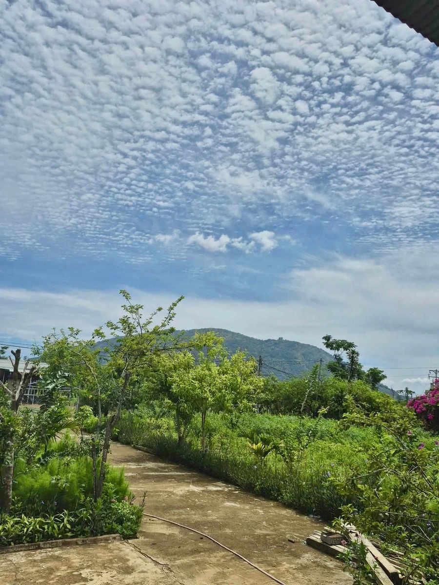 Bán nhà vườn 6279m² tại Xuân Lộc, Đồng Nai, view khu du lịch - Ảnh thu nhỏ 3