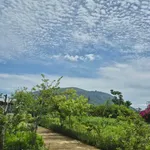 Bán nhà vườn 6279m² tại Xuân Lộc, Đồng Nai, view khu du lịch - Ảnh thu nhỏ 3
