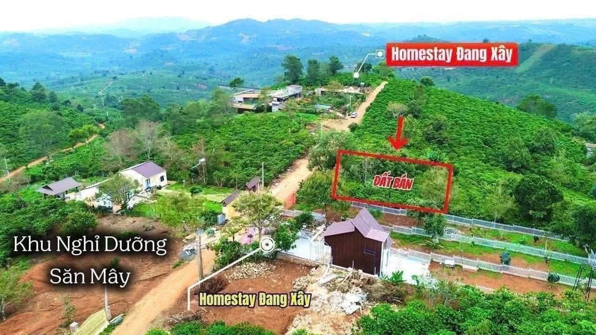 Bán đất Di Linh Lâm Đồng 412m², 849 triệu - Ảnh thu nhỏ 2