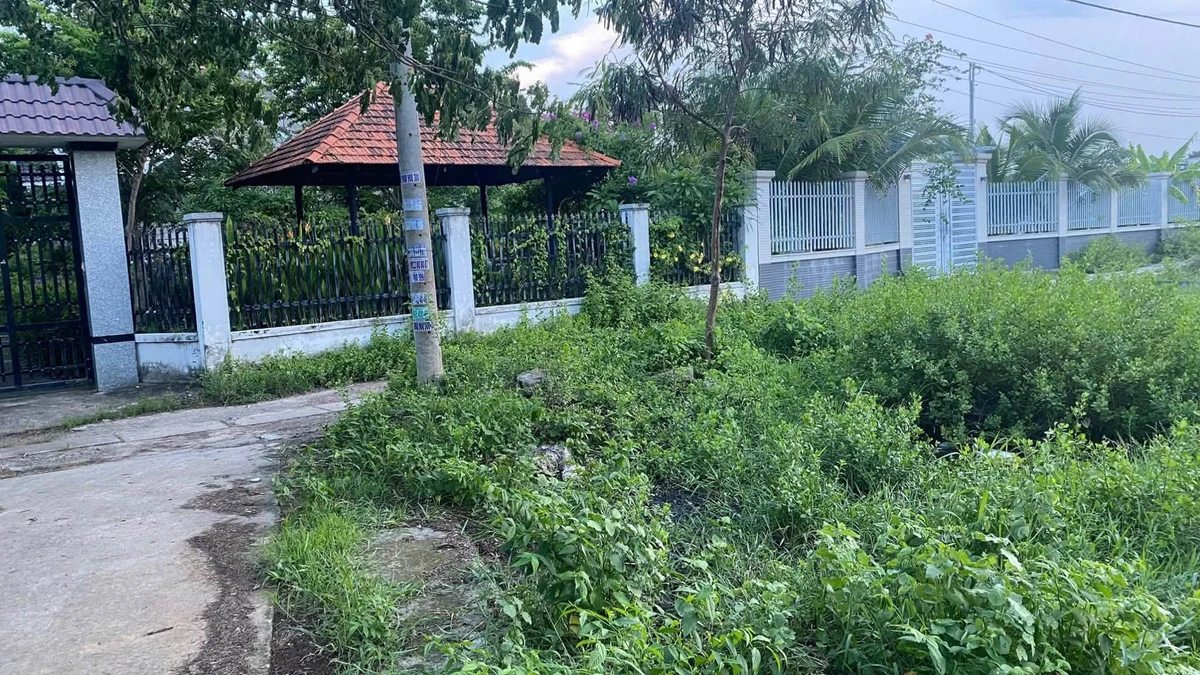 Bán lô đất thổ cư 99,5m2 Hàm Thắng Lâm Đồng - Ảnh thu nhỏ 2