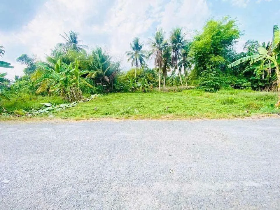 Bán đất Vĩnh Long 75m² mặt tiền 199 triệu - Ảnh 1