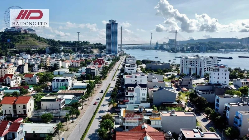Bán đất mặt đường Trần Thái Tông Hạ Long 375m2, 37 tỷ