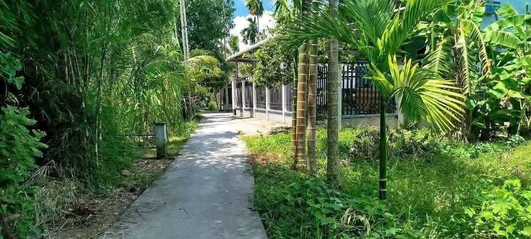 Bán 375 m² đất thổ cư Phong Điền, Cần Thơ - Ảnh thu nhỏ 3
