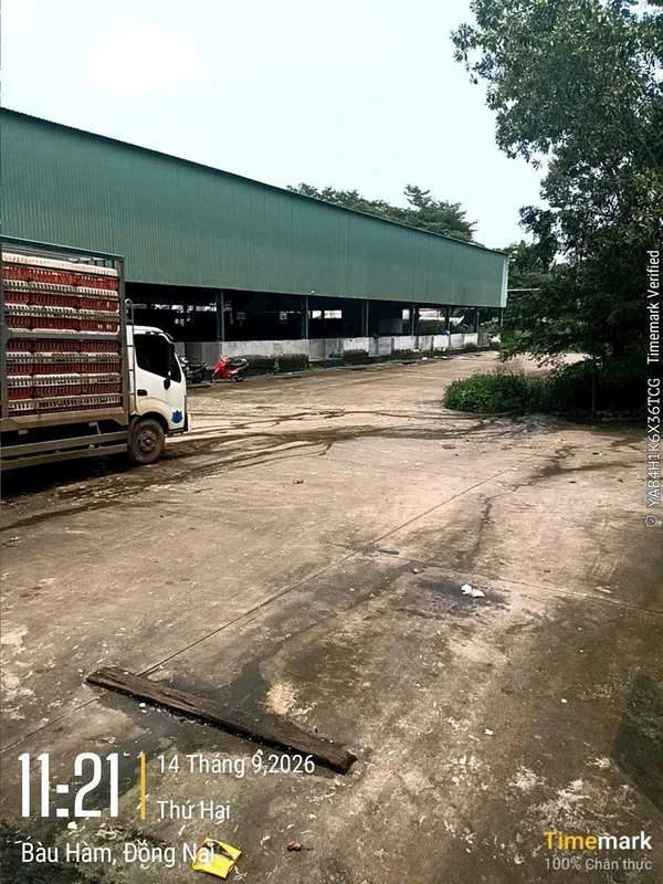 Bán cơ sở giết mổ gia súc 28000m2 Trảng Bom Đồng Nai
