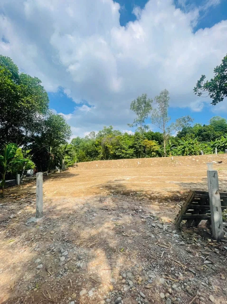 Bán đất Quận 7, 100m2, ngang 6m, 1 tỷ 4 triệu - Ảnh thu nhỏ 3