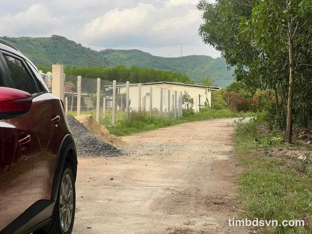 Bán lô đất Diên Tân 6.585m² thích hợp làm farm - Ảnh thu nhỏ 4