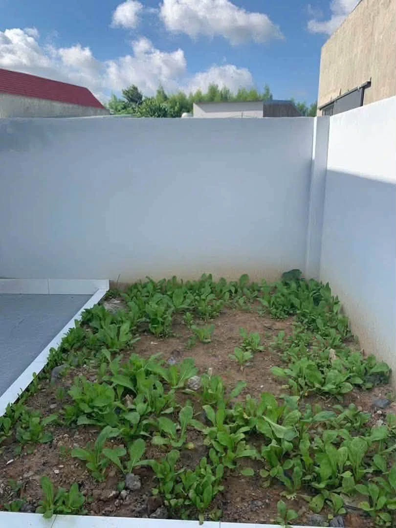 Bán nhà 2PN 125m2 Bình Minh Bình Chánh, giá 1,4 tỷ - Ảnh thu nhỏ 5