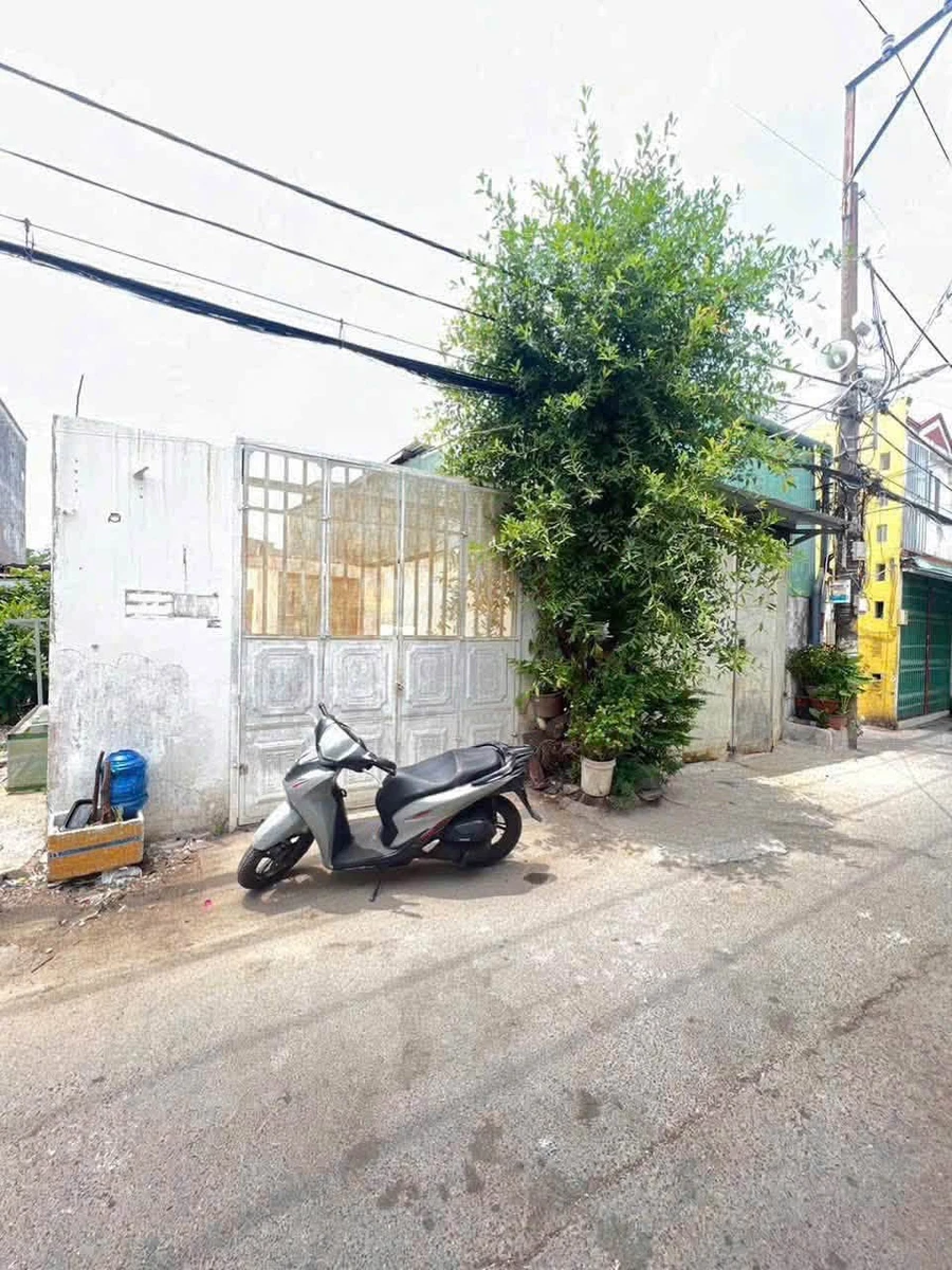 Bán đất Quận 6, 77.5m², Đào Tông, 3 tỷ 950 - Ảnh thu nhỏ 4