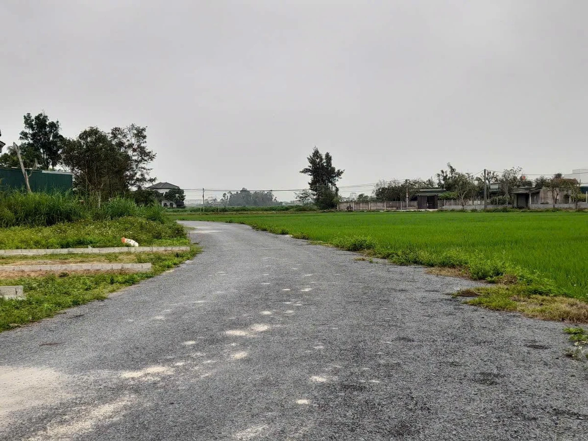 Bán đất 165m² Nghi Phong, Nghệ An 2,64 tỷ - Ảnh thu nhỏ 5