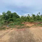 Bán lô đất 5x25m Quận 12 giảm giá còn 290 triệu - Ảnh thu nhỏ 4