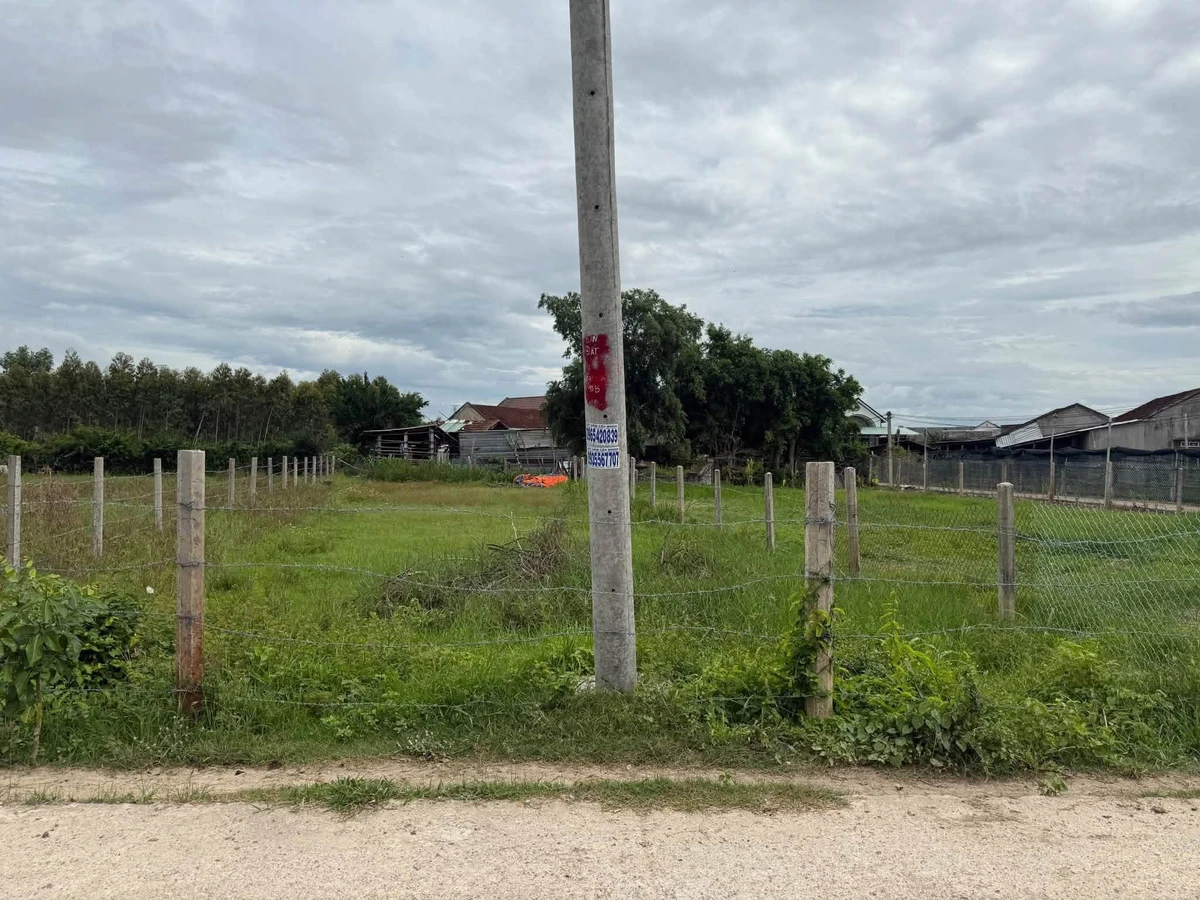Bán đất Bình An 2 450m² ngang 10m, sổ hồng - Ảnh thu nhỏ 3