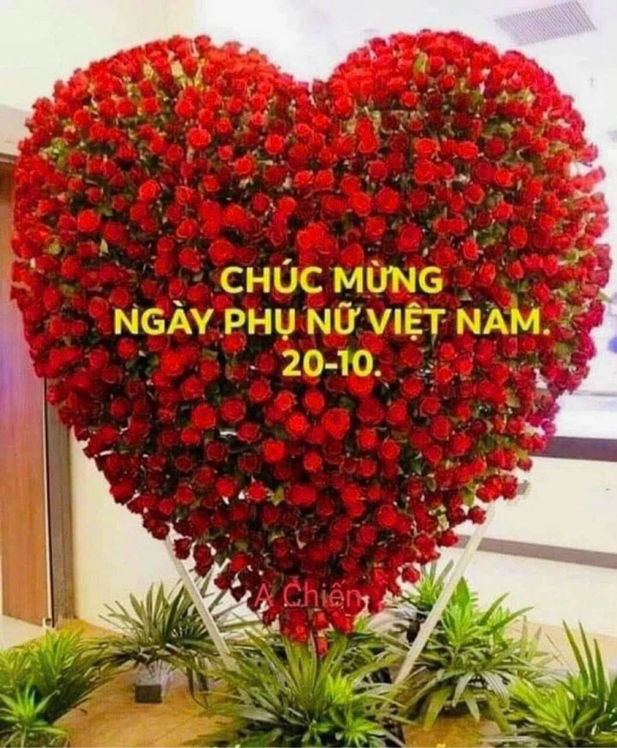 Cho thuê biệt thự mặt tiền 340m2 gần Lotte Mart Vũng Tàu - Ảnh 1