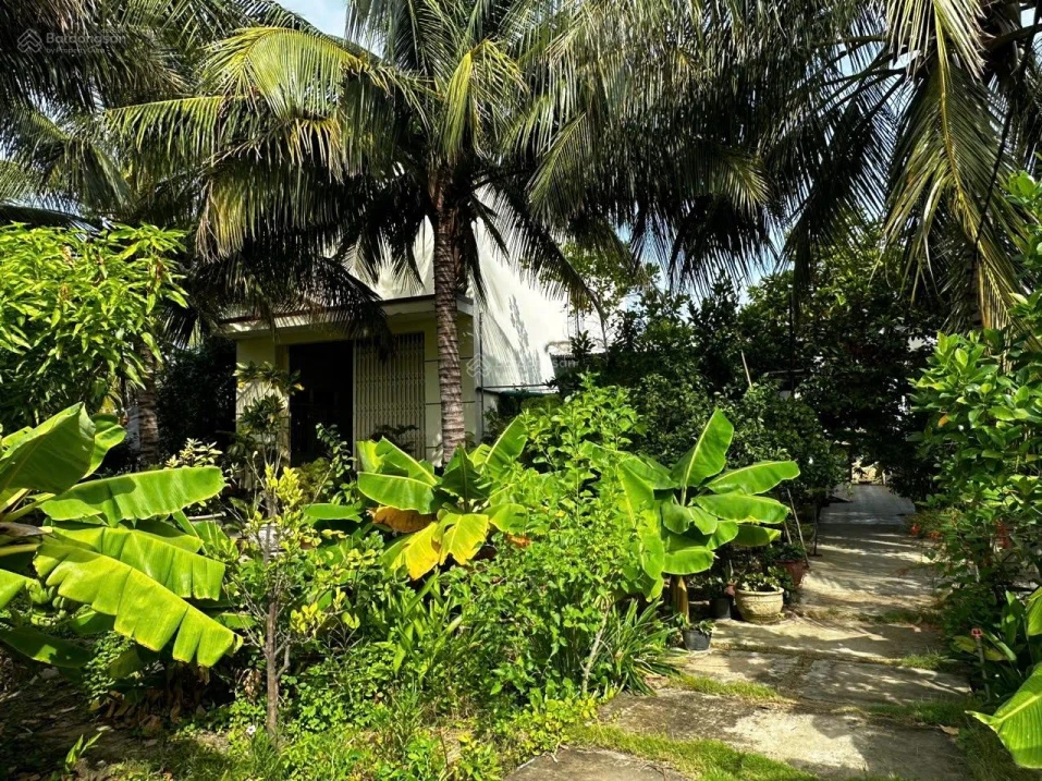 Nhà vườn lớn Sáu Bình gần biển - Ảnh thu nhỏ 4