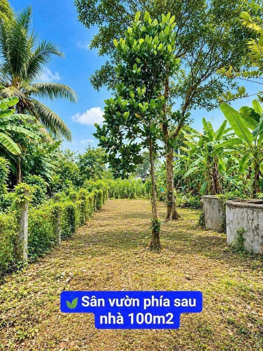 Bán nhà 2PN 243m2 Tân Phú giảm còn 790 triệu - Ảnh thu nhỏ 3