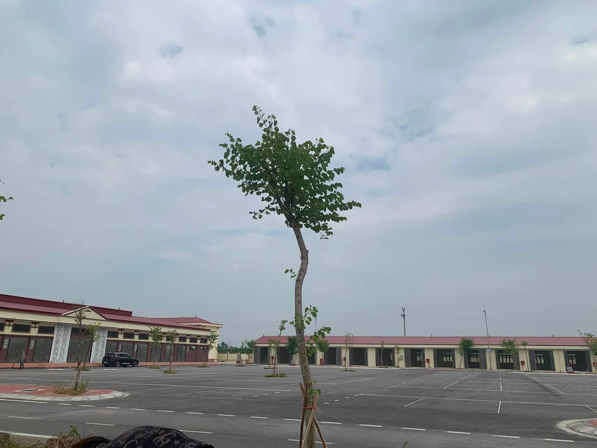 Bán đất Đông Tảo 52m² góc ô tô, 1 tỷ 52 - Ảnh thu nhỏ 2