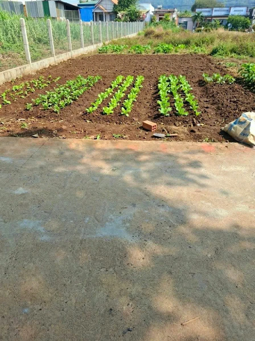 Bán đất 115m² mặt tiền Trần Nhân Tông, Thủ Đức, 2,15 tỷ - Ảnh thu nhỏ 2