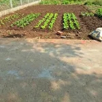 Bán đất 115m² mặt tiền Trần Nhân Tông, Thủ Đức, 2,15 tỷ - Ảnh thu nhỏ 2