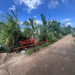 Bán đất Phường Khánh Xuân 165m² gần phim trường Xinh 790 triệu - Ảnh thu nhỏ 1
