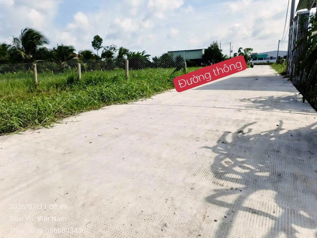 Bán đất thổ và lúa 300m² tại Châu Thành Long An 650 triệu - Ảnh thu nhỏ 2