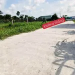 Bán đất thổ và lúa 300m² tại Châu Thành Long An 650 triệu - Ảnh thu nhỏ 2