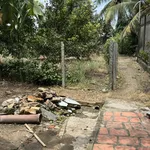 Bán đất mặt tiền Quốc lộ 30, gần Chợ Đầu mối trái cây tỉnh Đồng Tháp 2.400m2 có 400m2 thổ - Ảnh thu nhỏ 3