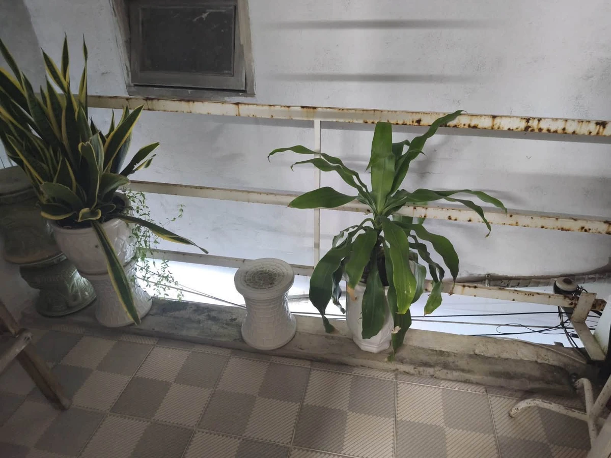 Bán nhà 2 tầng 60,4m² Đống Đa Hải Châu Đà Nẵng 2.1 tỷ - Ảnh thu nhỏ 2