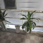Bán nhà 2 tầng 60,4m² Đống Đa Hải Châu Đà Nẵng 2.1 tỷ - Ảnh thu nhỏ 2