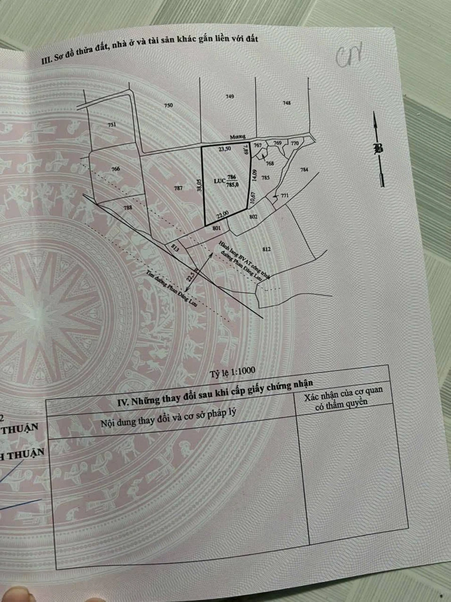 Bán đất nông nghiệp mặt tiền Phan Đăng Lưu Ninh Thuận 1.900m² - Ảnh thu nhỏ 4